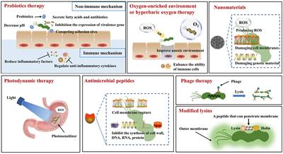A review on the research progress on non-pharmacological therapy of Helicobacter pylori